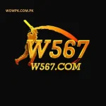 W567 Game